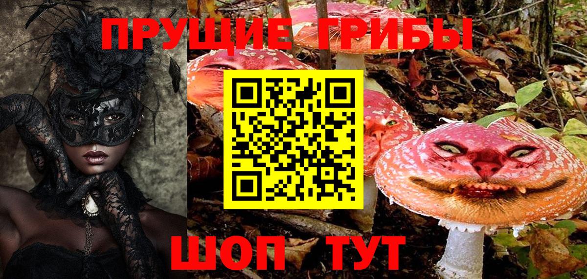 Псилоцибиновые грибы прущие грибы Канск